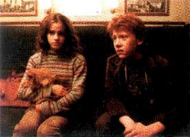 Ron&Hermione&her fake cat